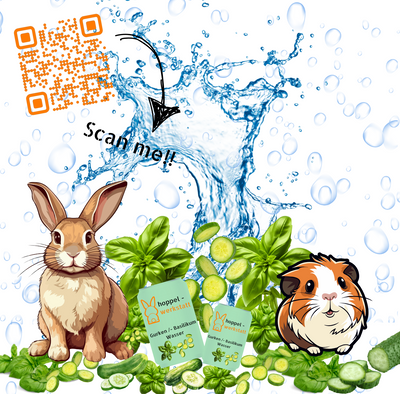 Cucumber/Basil Water