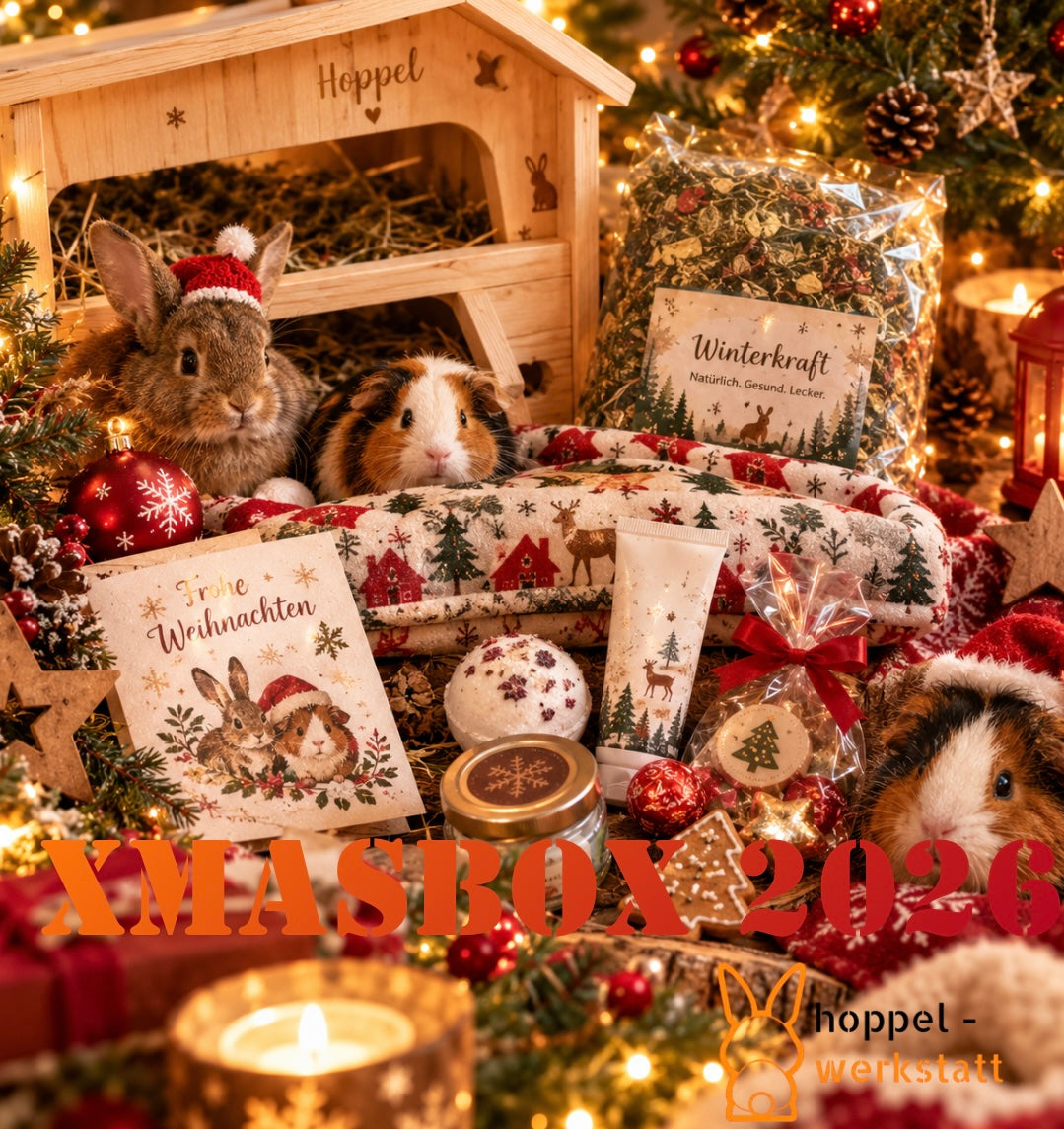 XMasBox 2026