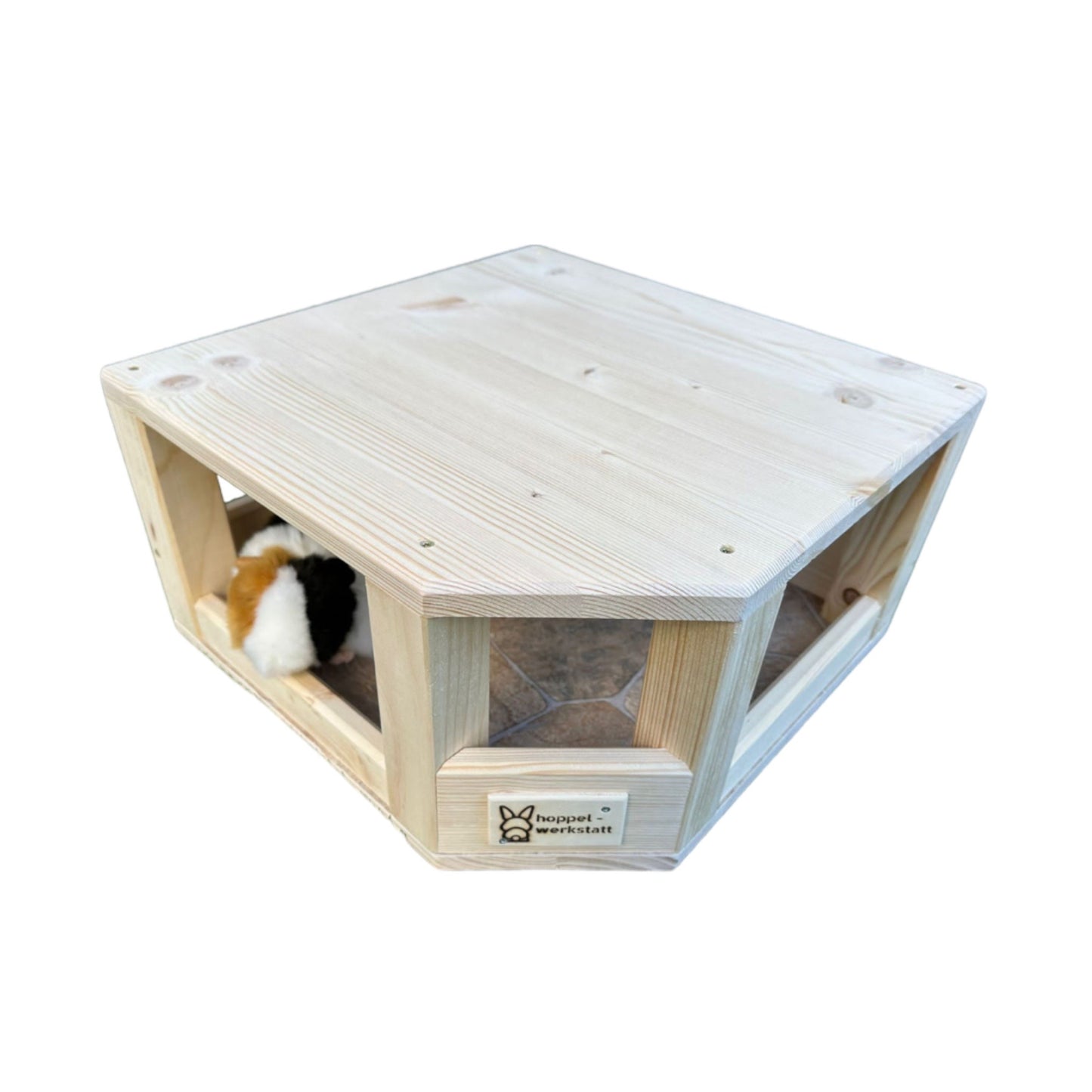 Ecki Shelter Squeak