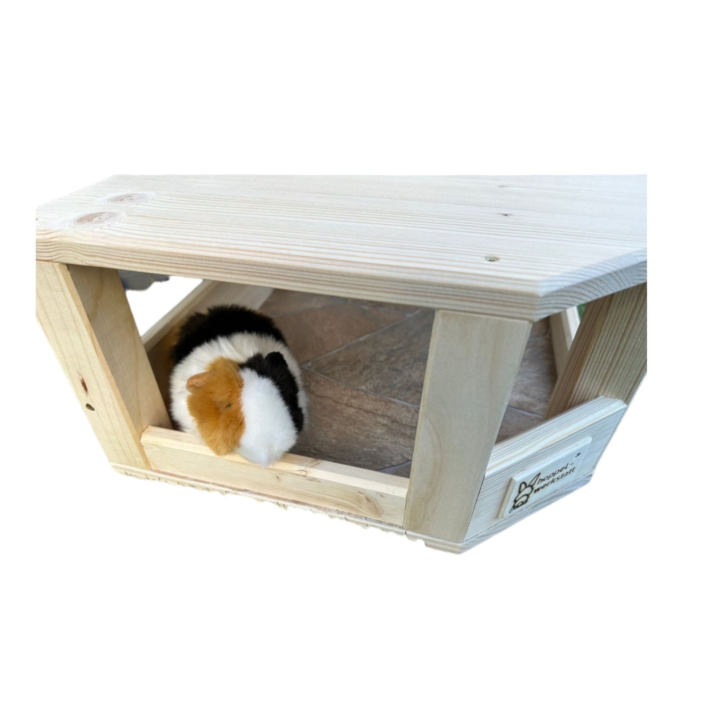 Ecki Shelter Squeak