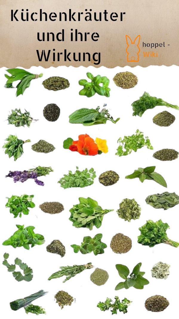 Kitchen Herbs