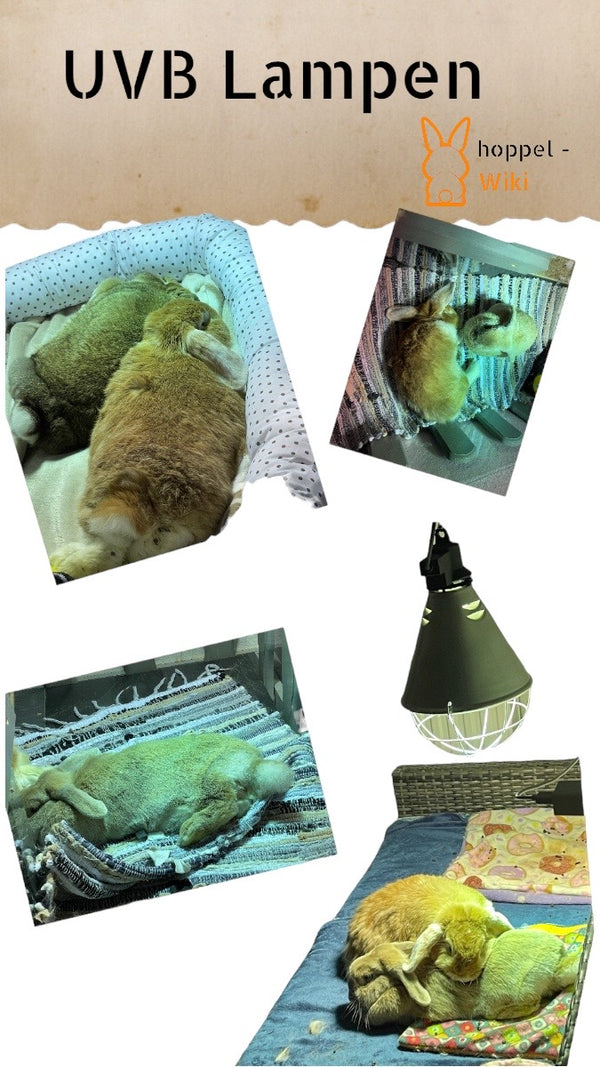UVB Lamps