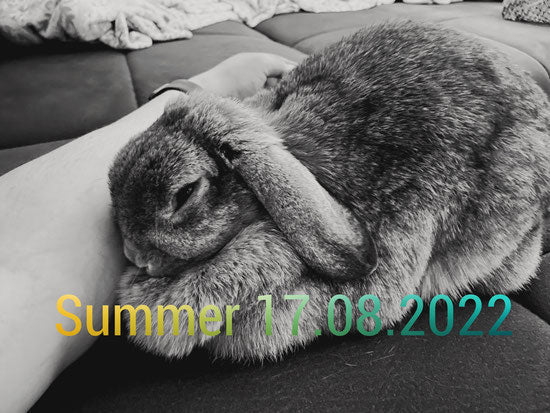 Summer