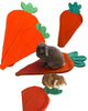 PipiPad Carrot